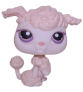 #0390 Poodle